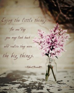 enjoy-the-little-things-for-one-day-you-may-look-back-and-realize-they-were-the-big-things-15