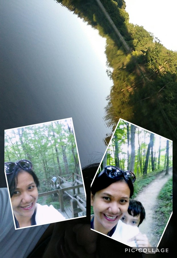 Collage 2017-06-11 22_22_54