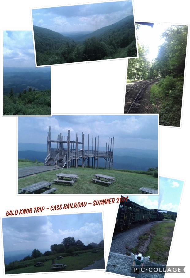 Collage 2017-07-23 22_33_01